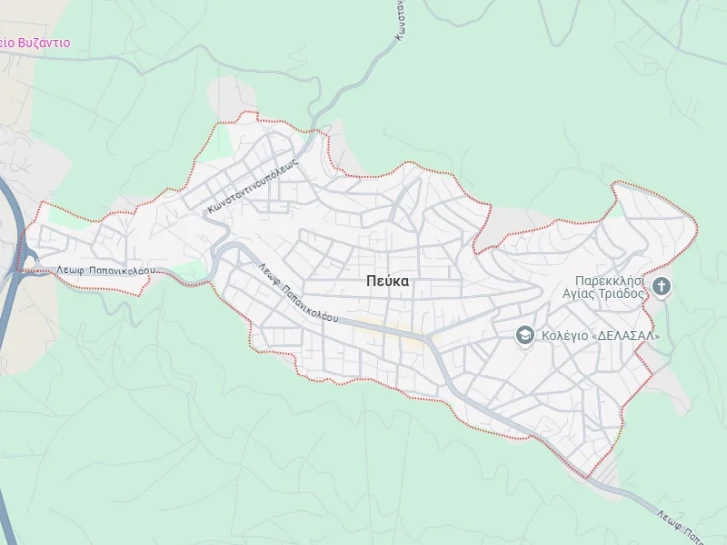 ΕΠΙΣΚΕΥΕΣ ΣΕ ΠΤΥΣΣΟΜΕΝΑ ΚΑΓΚΕΛΑ ΡΕΤΖΙΚΙ – ΠΕΥΚΑ